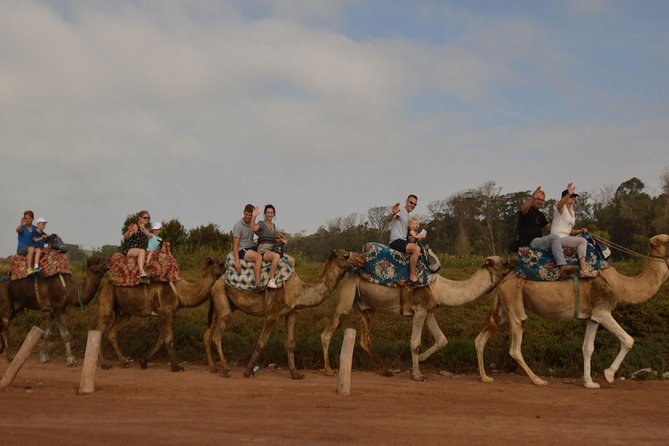Camel riding in Agadir for Cruise ship Passengers - Cruise-ship pickup and the short ride to the ranch