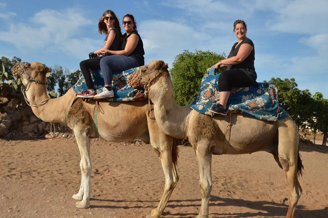 Camel riding in Agadir for Cruise ship Passengers - After the ride: mint tea and Moroccan cakes