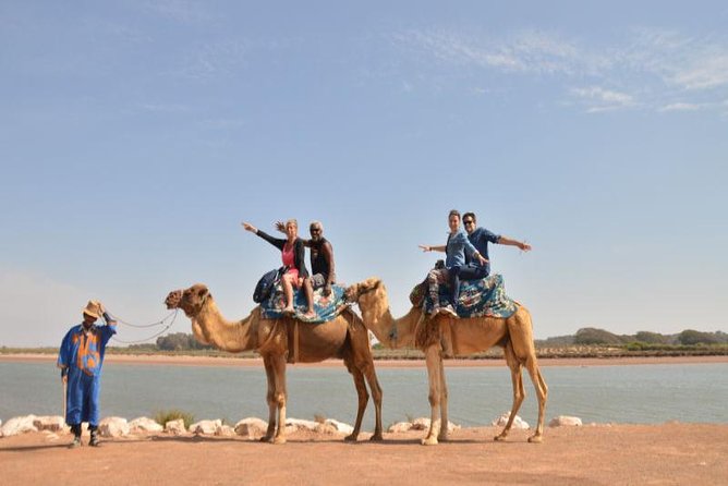 Camel riding in Agadir for Cruise ship Passengers - Price and value for cruise passengers: what you get for about $39.68