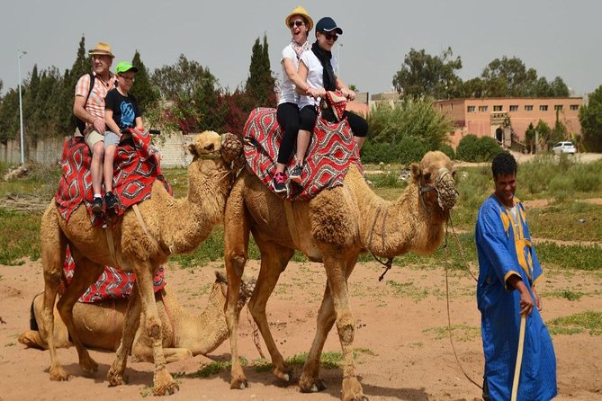 Camel riding in Agadir for Cruise ship Passengers - The ranch briefing, camel guide help, and the one-rider rule