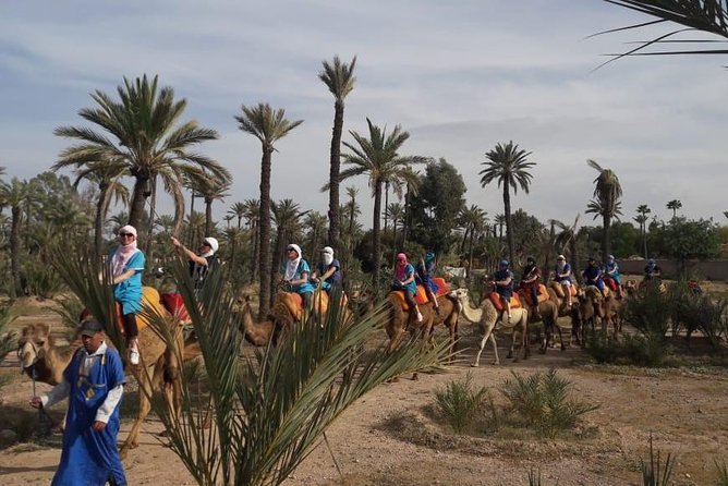 Camel riding in marrakech - Getting to 13,000 hectares of palm groves (and why the drive matters)