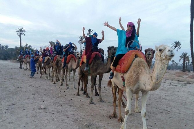 Camel riding in marrakech - Price and value: what you’re actually paying for