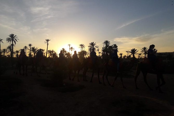 Camel riding in marrakech - Blue Touareg-style clothing and your local guide’s role