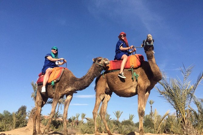 Camel Trek Around Marrakech Palmeraie - Getting There: Café de France Start and Air-Conditioned Pickup