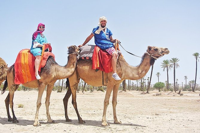 Camel Trek Around Marrakech Palmeraie - The Two-Hour Ride Through the Palmeraie: Pace and Scenery