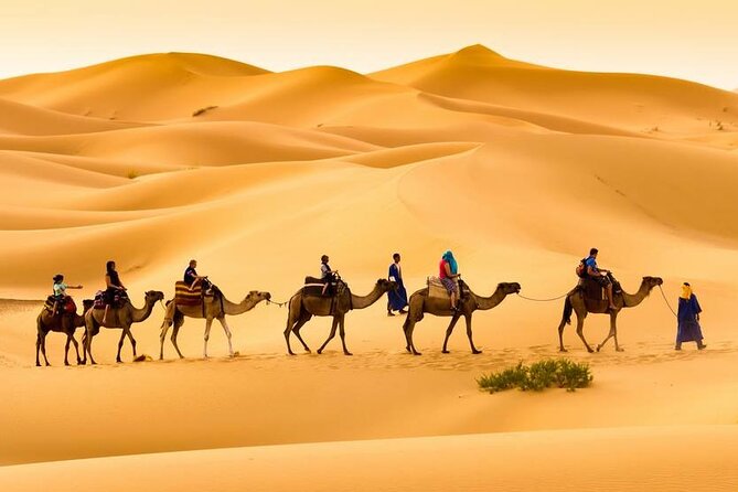 Camel trek with 1 Night in Luxury camp with Dinner+ Sundbording - Why Erg Chebbi feels magical when the sun drops