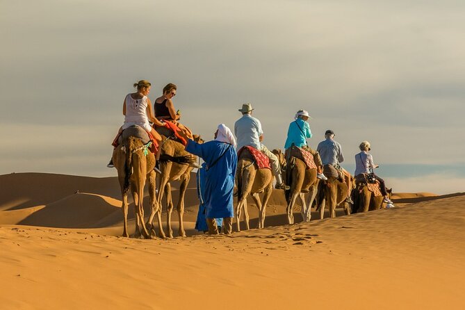 Camel trek with 1 Night in Luxury camp with Dinner+ Sundbording - Dinner in the desert and drummers around the fire