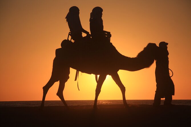 Camel trek with 1 Night in Luxury camp with Dinner+ Sundbording - Morning in the desert: dawn, shower, breakfast, and the return ride