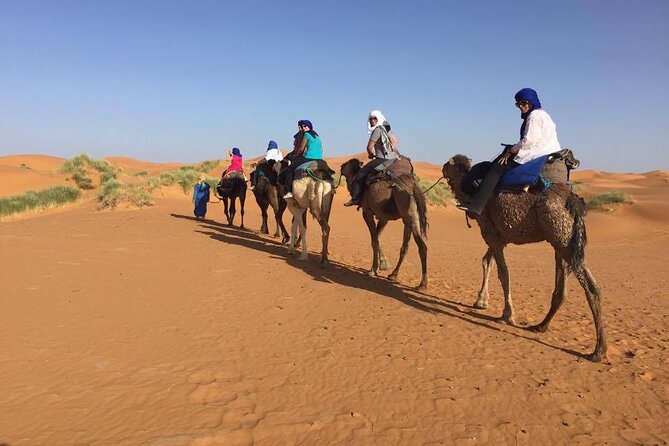 Camel trek with 1 Night in Luxury camp with Dinner+ Sundbording - Sunset summit time in the dunes: how to get the best views