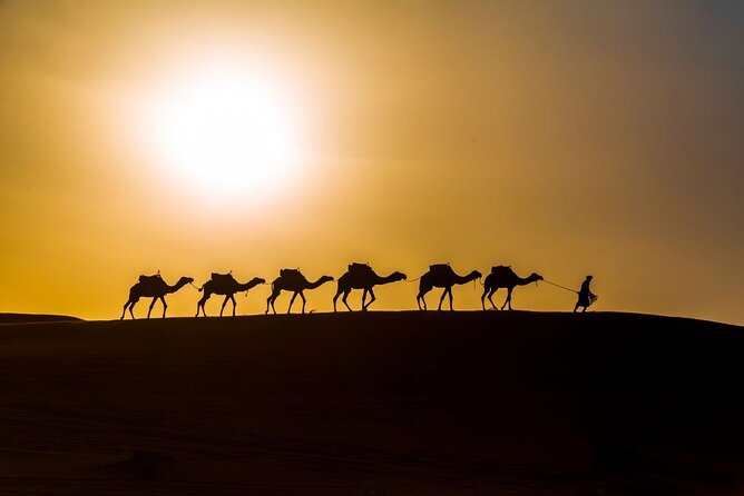 Camel trekking overnight in Merzouga desert camp - Day 2 Sunrise Camel Trek + Breakfast Before You Move On