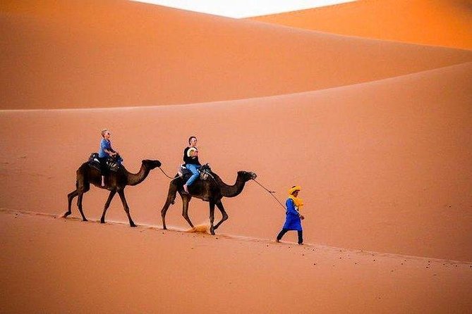Casablanca 3 day itinerary - Day 3: Camel return at sunrise, shower time, then back to Marrakech via Dades, Ouarzazate, and High Atlas