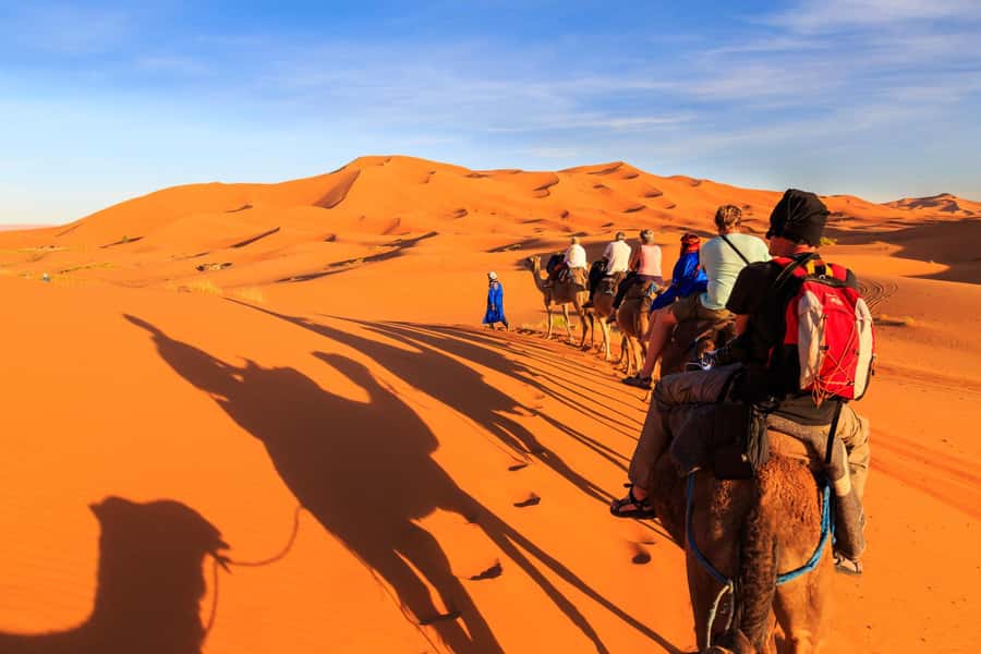 Casablanca: 6-Day Tour To Marrakech Via Chefchaouen & Desert - Fes Medina day: Bou Inania, Al Quaraouiyine, souks, and tanneries