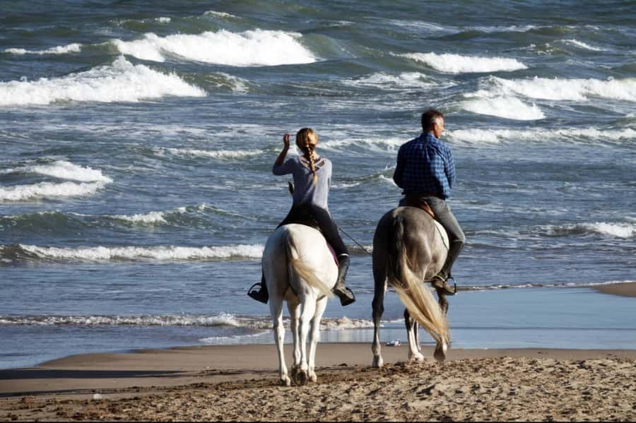 Casablanca: Beach Horseback Riding with Hotel Transfers - Beach horses with real hotel comfort, not a tough meetup