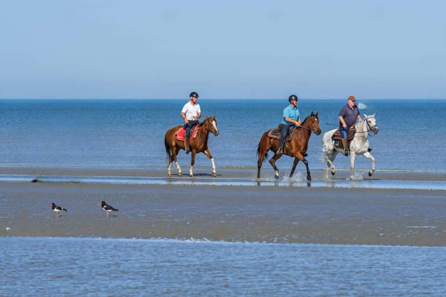 Casablanca: Beach Horseback Riding with Hotel Transfers - Guides and horse handling: safety, patience, and lots of photos