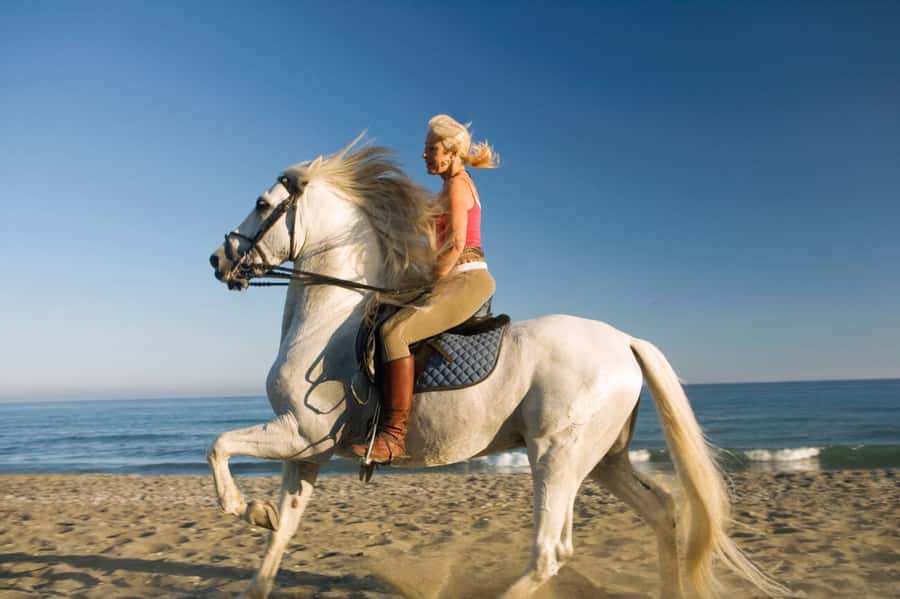 Casablanca: Beach Horseback Riding with Hotel Transfers - Comfort details that make the ride feel easier