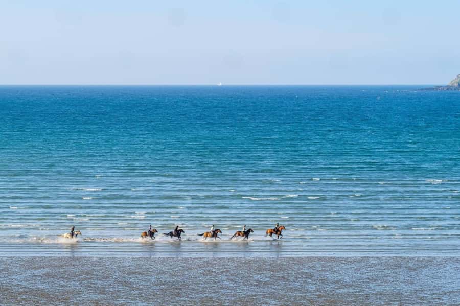 Casablanca: Beach Horseback Riding with Hotel Transfers - Price and value: what $46 buys you in real terms
