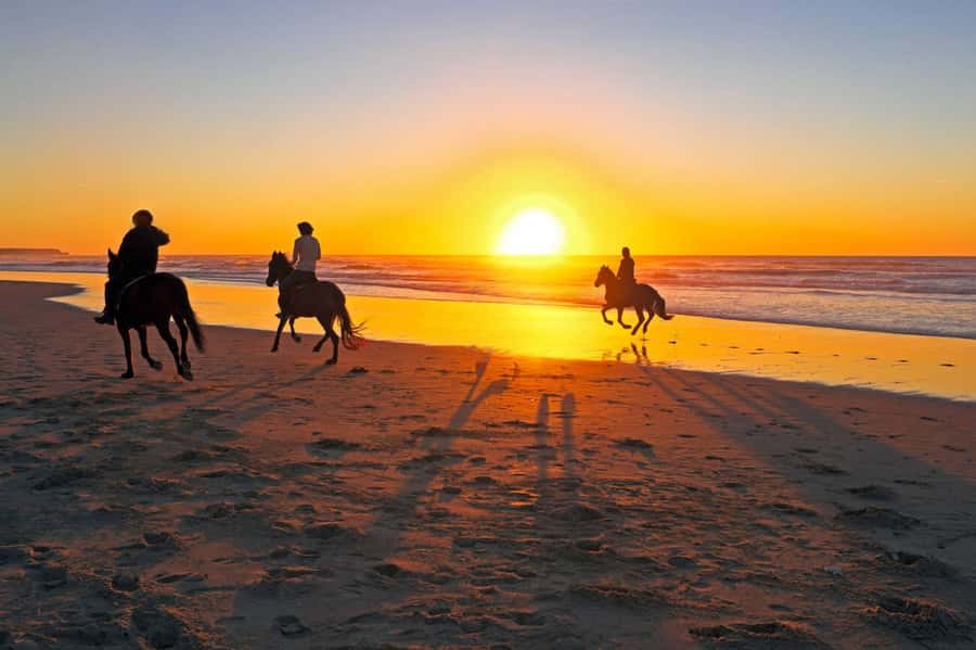 Casablanca: Beach Horseback Riding with Hotel Transfers - The small-group size and the photos matter more than you think