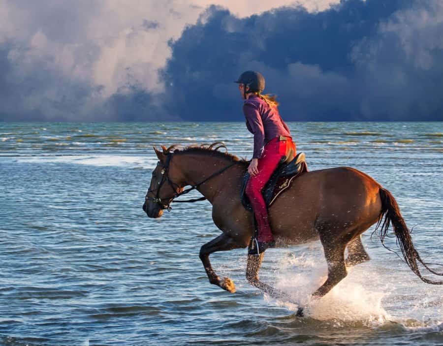 Casablanca: Beach Horseback Riding with Hotel Transfers - Should you book this Casablanca horseback ride?