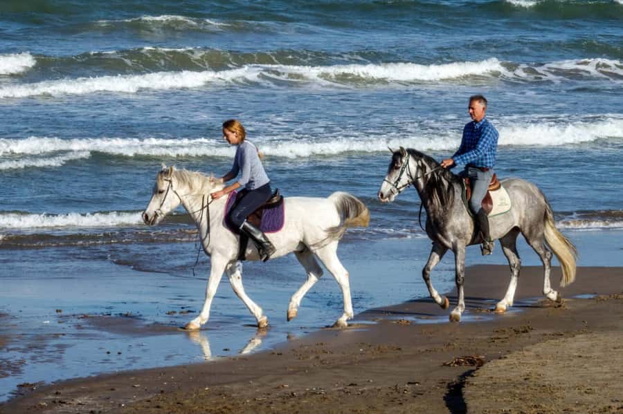 Casablanca: Beach Horseback Riding with Hotel Transfers - Beach or forest: two different moods, same ride length