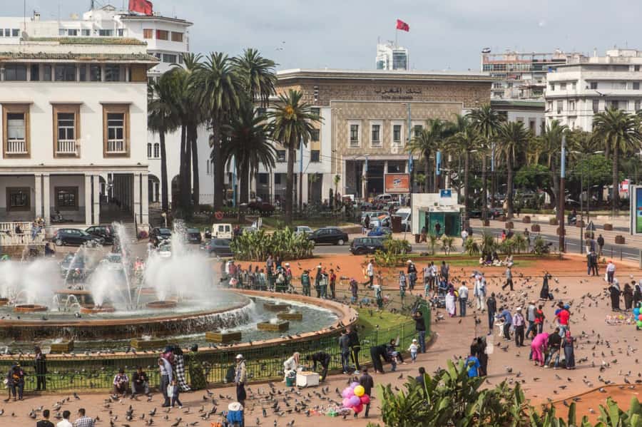 Casablanca City Tour with Hotel Pickup and drop off - Rick’s Café and Casablanca’s movie-shadow mood