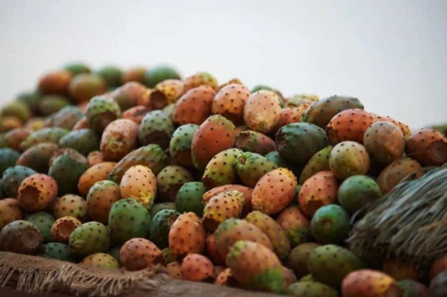 Casablanca: Food Tour with Tastings in Quartier Habous - The Walk Stops That Make the Tour Worth It