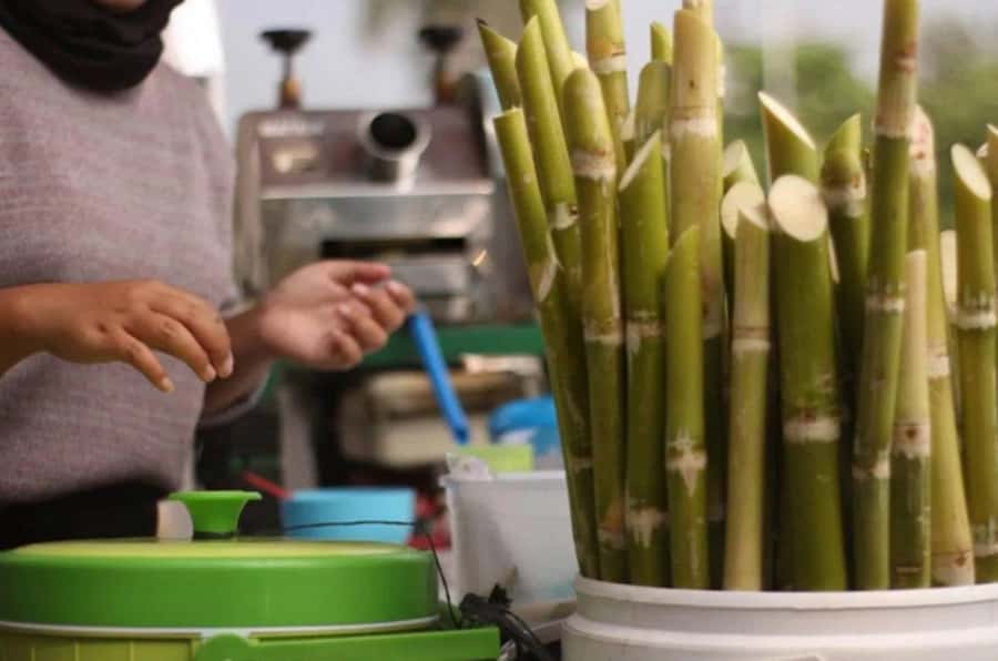 Casablanca: Food Tour with Tastings in Quartier Habous - What You’ll Eat: Pastilla, Briouats, Msemen (Plus Sweet and Savory)