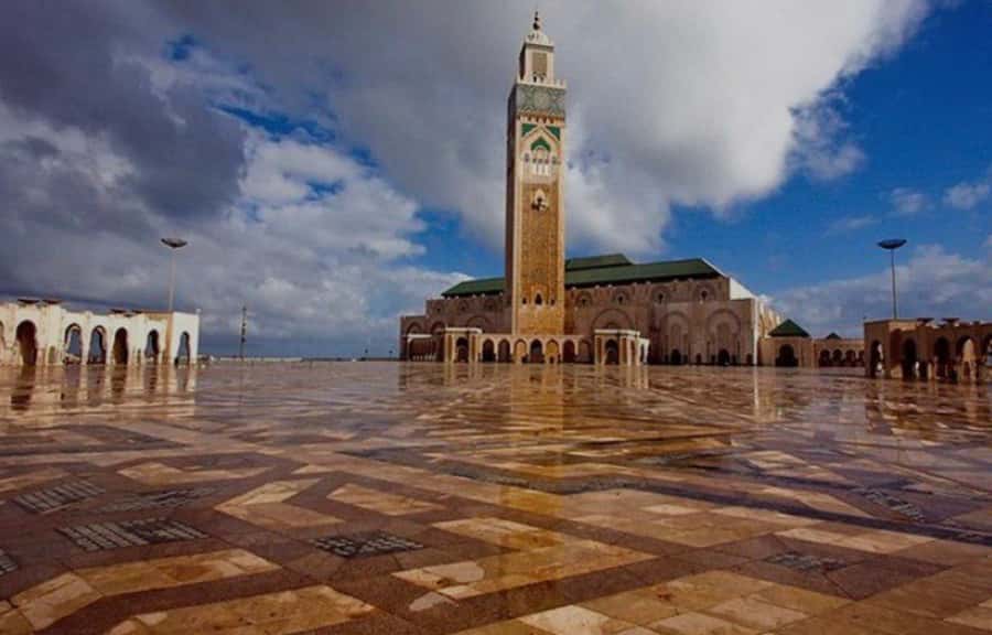 Casablanca Full-Day City Tour with round-trip hotel transfer - Price and value: what $22 gets you (and why it’s not just cheap)