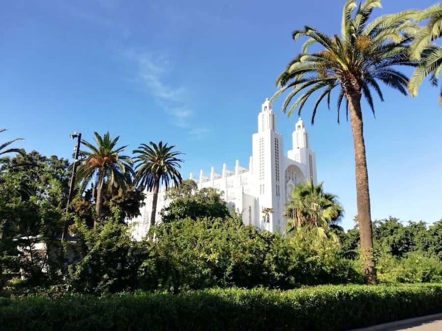 Casablanca Full-Day City Tour with round-trip hotel transfer - Casablanca’s star moment: Hassan II Mosque (exterior + guided time)