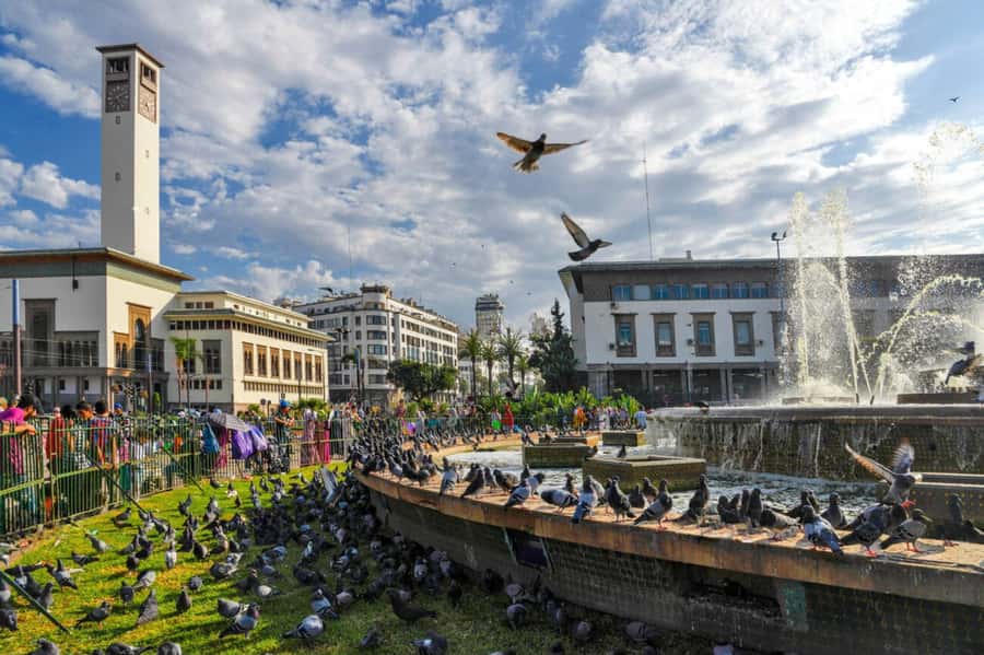 Casablanca Half Day City Tour with Professional local Guide - Quartier Habous: Moroccan-and-French architecture plus market time and tea