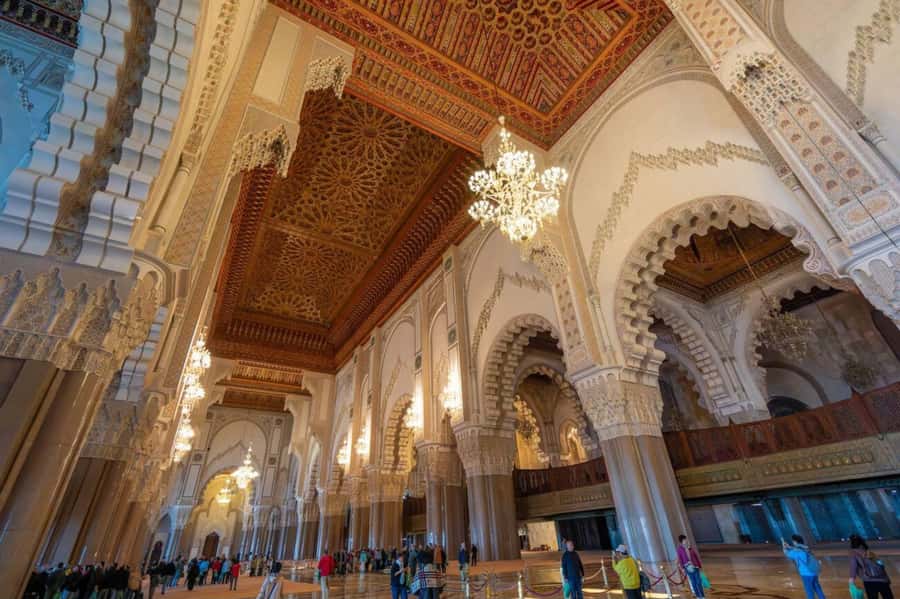 Casablanca Half Day City Tour with Professional local Guide - Arab League Park and Mohammed V Square: photos, pigeons, and a sense of place