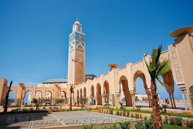 Casablanca luxury day tour - Movie-City Casablanca Downtown and Madam Rick’s Piano Courtyard