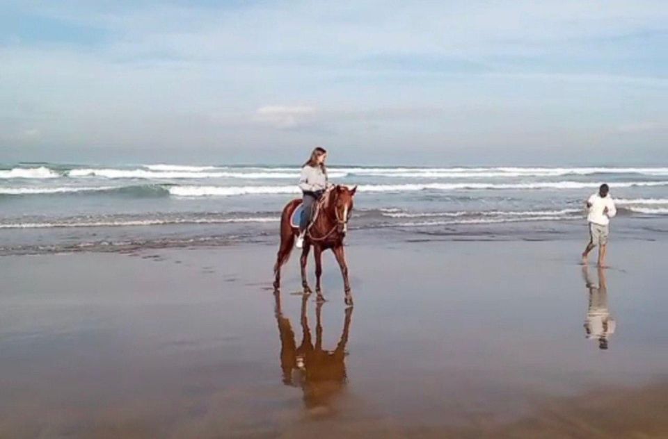 Casablanca: Private or Group Tour - Price and Logistics: A Fair Deal, With One Ticket to Plan