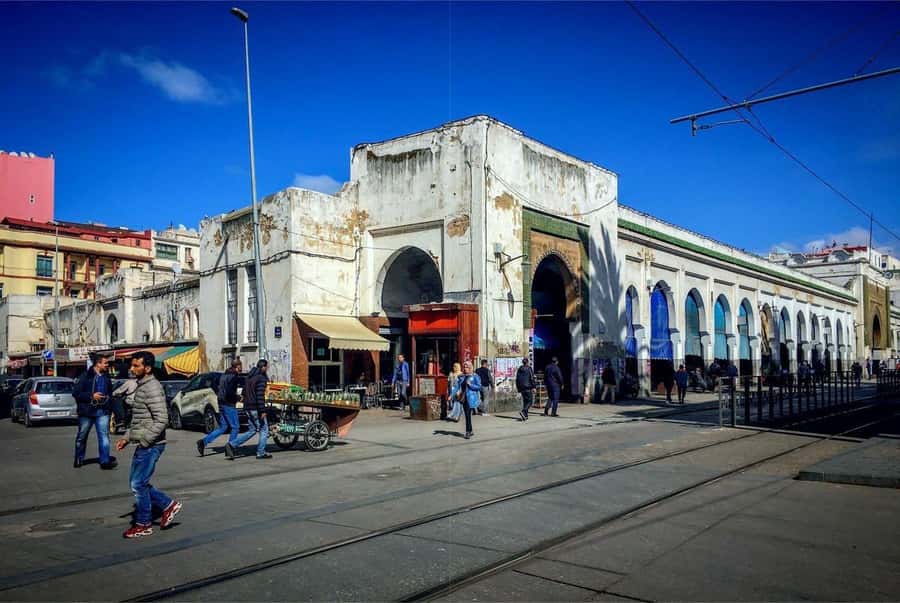 Casablanca & Rabat: A Captivating Journey from Casablanca - Kasbah of the Oudayas: white-and-blue alleys, Andalusian gardens, and views