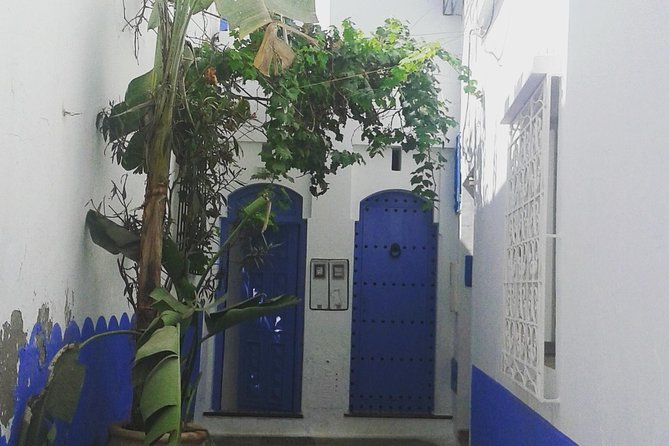 Casablanca to Chefchaouen Private Transfer - What the 6-Hour Trip Really Means Day-To-Day
