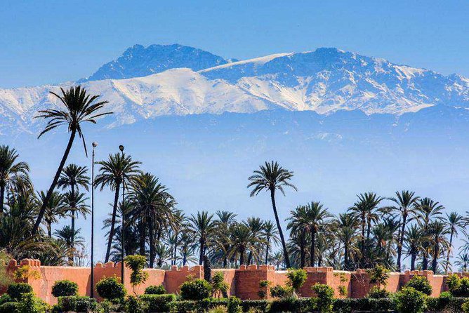Casablanca to Marrakech Day Trip with Camel Ride - Pickup, Air-Conditioned Van, and the “Max 10” Comfort Factor