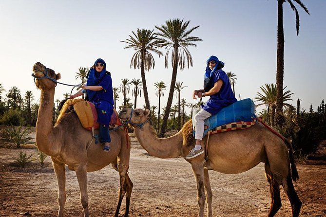 Casablanca to Marrakech Day Trip with Camel Ride - Menara Gardens and Le Jardin Secret: The Stops I’d Plan Around