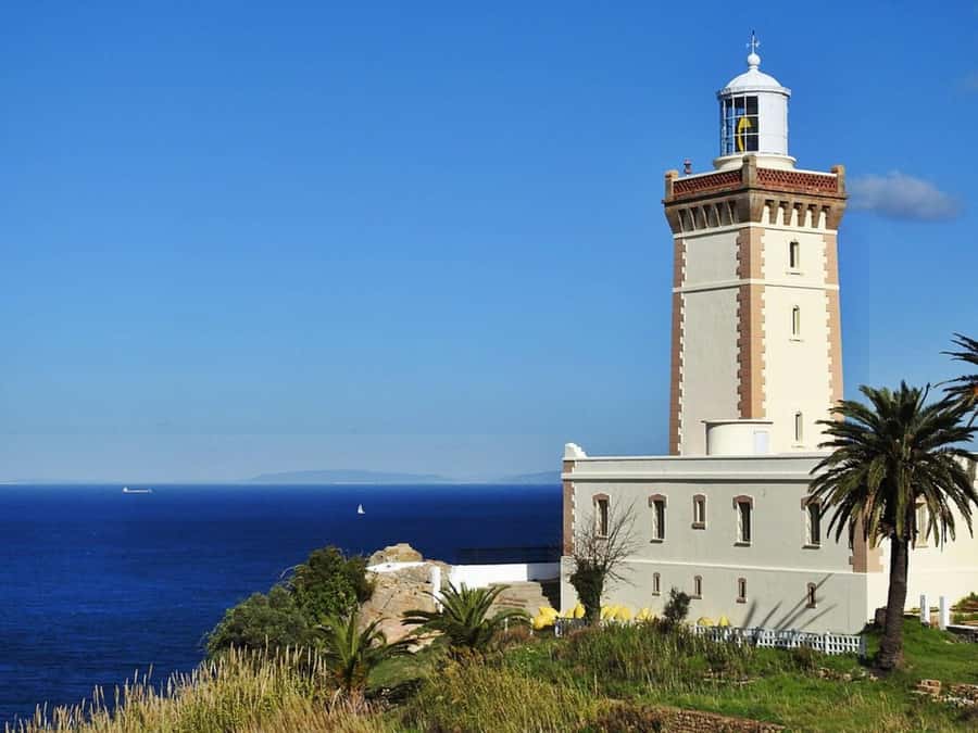 Casablanca to Tangier Guided Day Trip By High-Speed Train - Camel ride included: fun, but decide how you feel about it