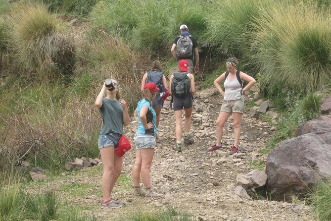 Challenge Day Hike in the Atlas Mountains - Berber home visit: what the translator changes