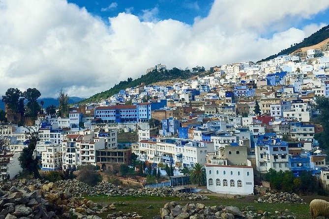 Chefchaouen Day Trip from Fes - Key Highlights You’ll Actually Feel During The Day
