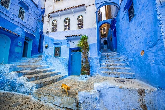 Chefchaouen Day Trip from Tangier : private and luxury - Ras El Ma spring: the break that keeps the day from overheating