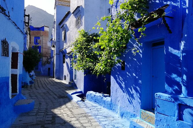 Chefchaouen private full day excursion & panoramic of Tangier - Museum Time: Not Included, But You Can Fit It In