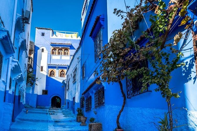 Chefchaouen Private Tour from Tangier, a full day! - The blue city landmarks you’ll actually care about