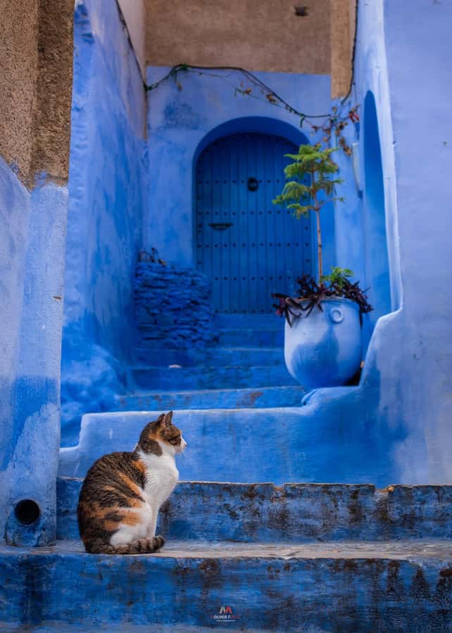 Chefchaouen tour guide - Key things to know before you go