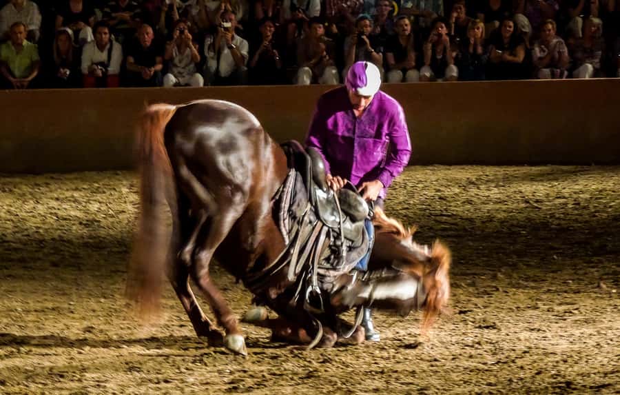 Chez Ali Dinner & Horsemen Show From Marrakech - The Real Headliner: Fantasia and Horsemen Charges
