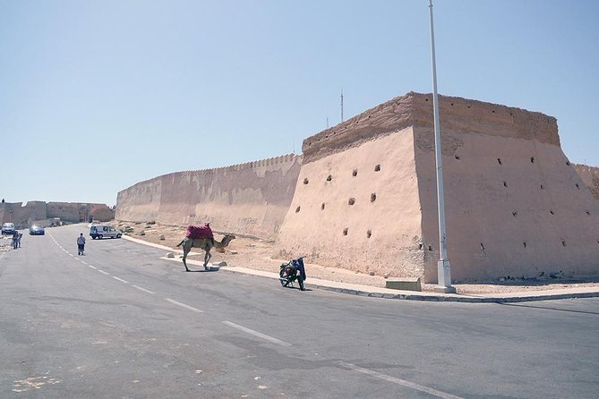 City Tour Agadir - Souk El Had d’Agadir: a Berber market built for browsing