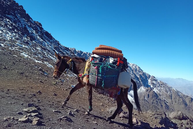 Climb Mount Toubkal 2 Days From Marrakech all Included - Weather, Fitness, and Who This Trek Suits Best