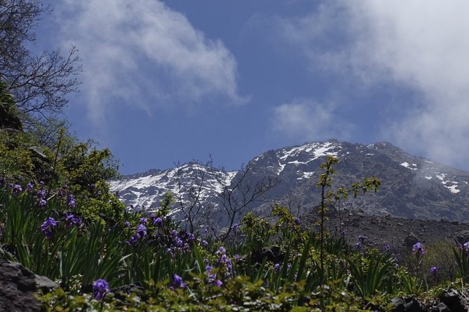 Climb Mount Toubkal - trekking - 3 days - Day 3 Back to Imlil: A Clean Exit From High Altitude