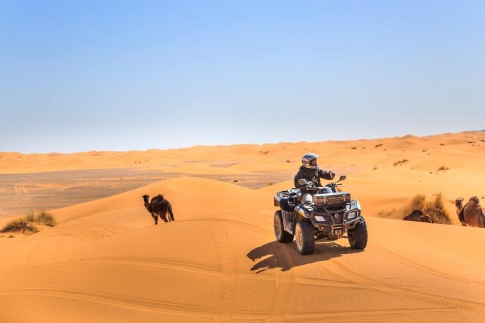 Combined Tour: 5 Days Mount Toubkal & Sahara tour - Who This Tour Suits Best (and Who Should Skip It)