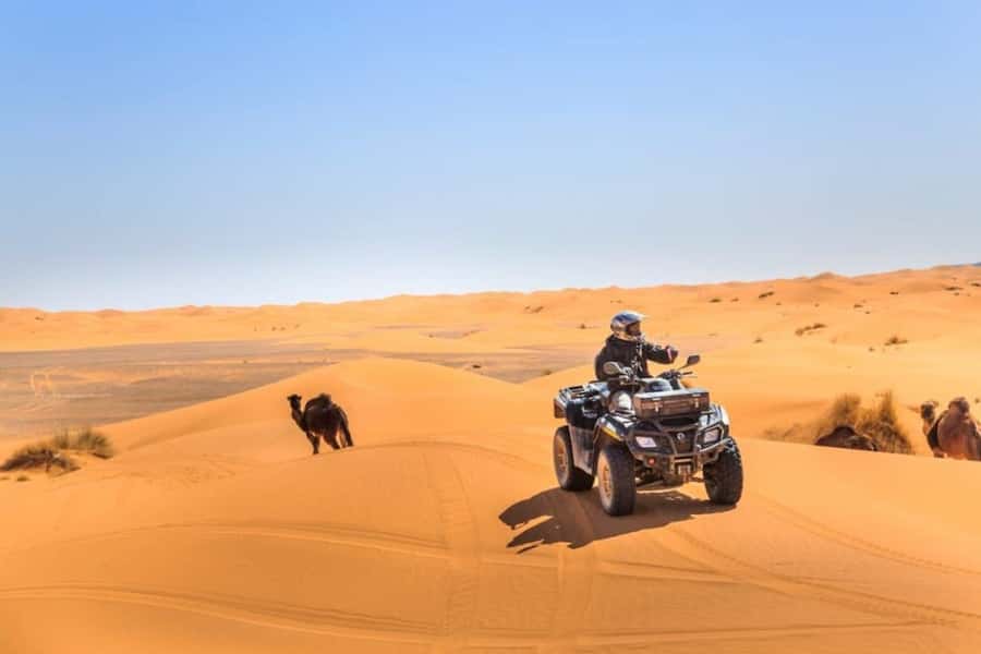 Combined Tour: 5 Days Mount Toubkal & Sahara tour - Day 4: Todra Gorge Stop and Camel Ride Into Erg Chebbi Dunes