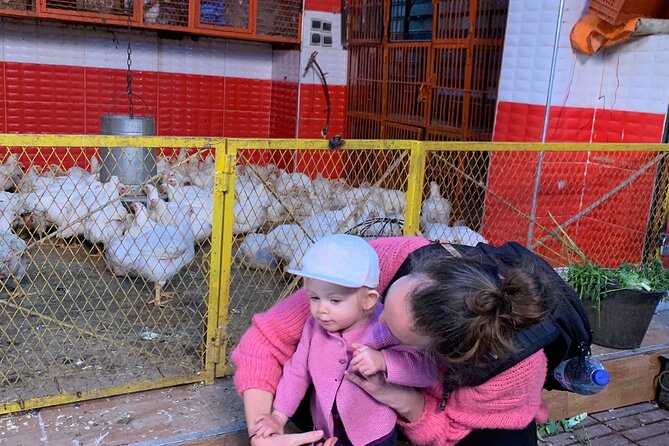 cooking class with chef FATIMA - In a Traditional Riad House: How the Class Actually Works